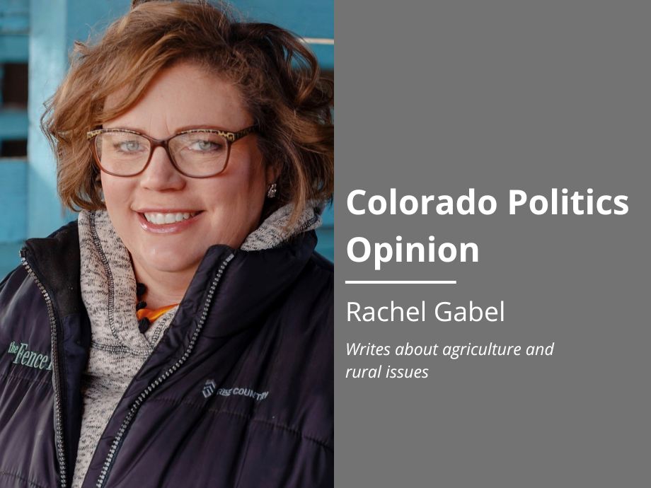 041823-cp-web-oped-gabel-1